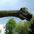 Jurassic park #ZOO #Chorzów