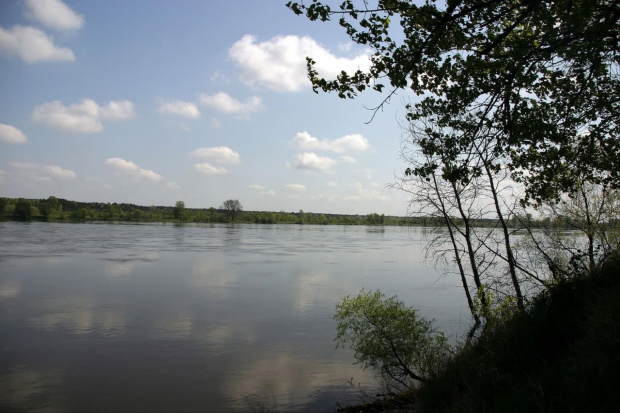 Widok na Wisłę - koło Ciechocinka
maj 2008r.