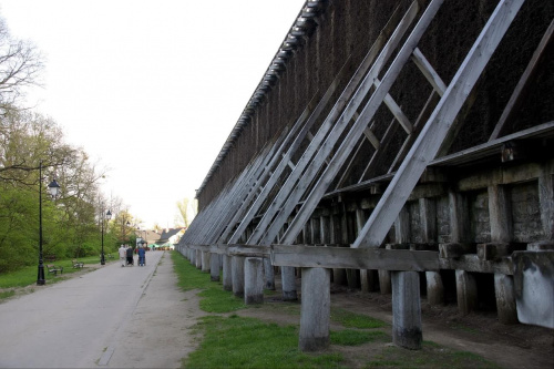 Tężnie - Ciechocinek - maj 2008r.