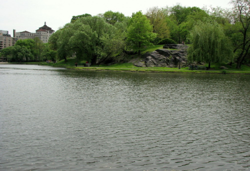 Harlemskie male jezioro #park