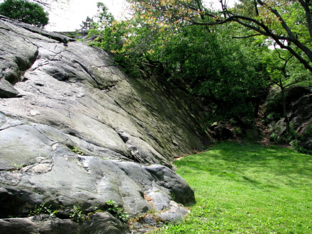 Manhattan-Central Park #park