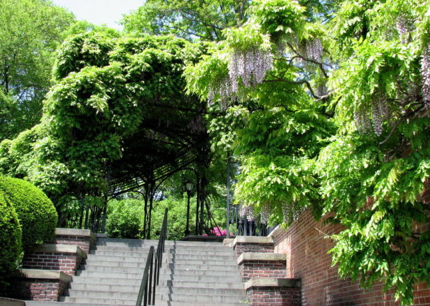 Manhattan-Central Park #park