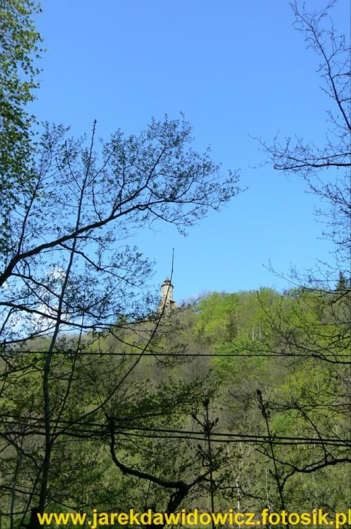 Zamek Grodno na wzgórzu #zamek #grodno #las #wzgórze #góra