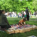 Majówka Integracyjna, organizowana przez Zespół Szkół Nr 12 w Białymstoku, 18 maja 2008