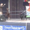 Majówka Integracyjna, organizowana przez Zespół Szkół Nr 12 w Białymstoku, 18 maja 2008