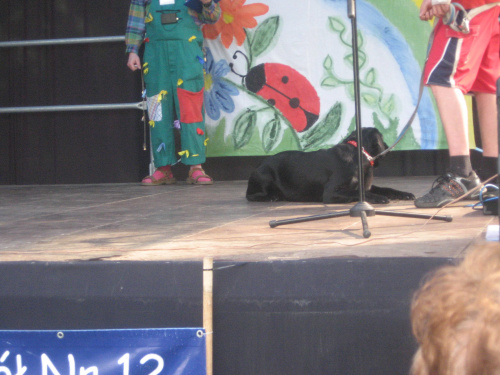 Majówka Integracyjna, organizowana przez Zespół Szkół Nr 12 w Białymstoku, 18 maja 2008