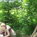 Piknik zorganizowany przez "nasze panie" prowadzące zajęcia Szkoły Rodziców dzieci uczacych się w SOSW Białystok, 20.05.2008