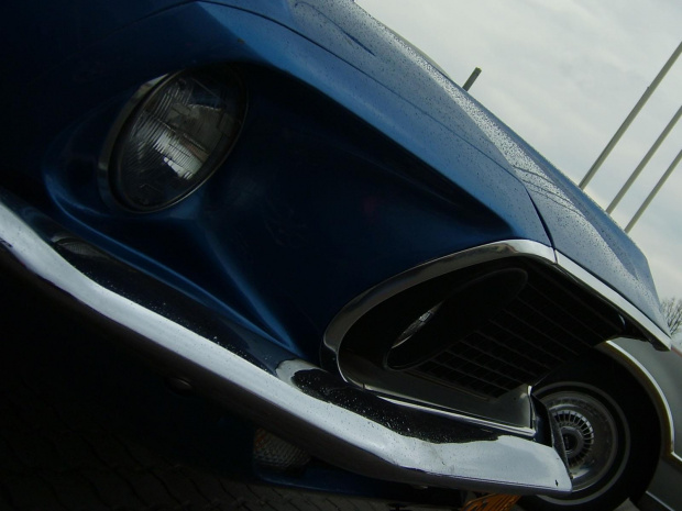 Mustang