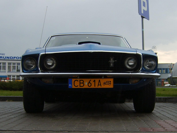 Mustang