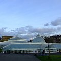 #Glasgow #BotanicGarden