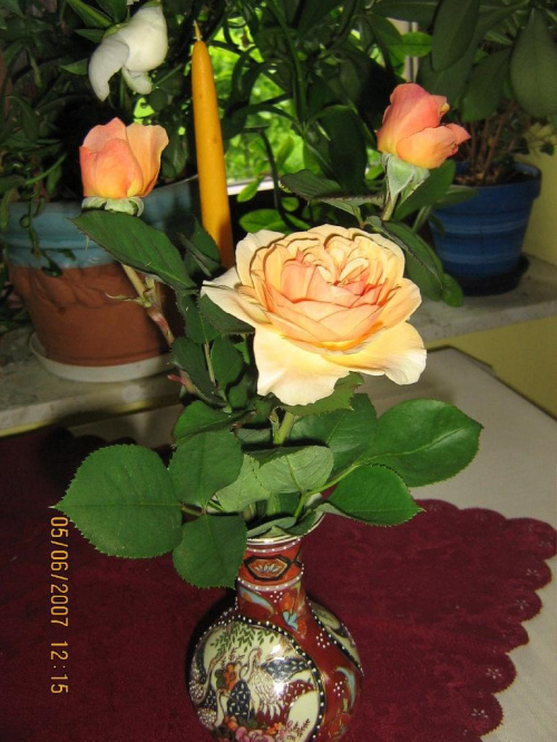 Róże w wazonie