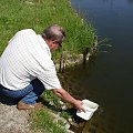 Część sandaczyków wpuszcza Prezes do stawu Baszta.