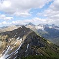 #tatry #góry #zakopane #kwiaty