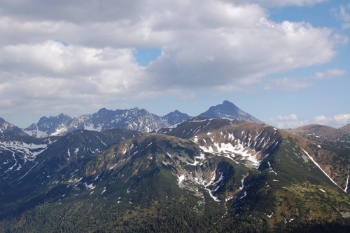 #tatry #góry #zakopane #kwiaty