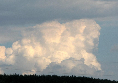 Piękna i bestia ( tylko bestia została )