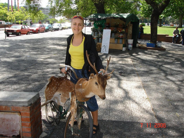 Urugwaj-Montevideo. Nietypowy rower... 2006