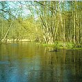 Skan z odbitki. Wiosna, gdzieś w okolicach Drawna (dawno temu, to i zapomniałam) #woda #rzeka #wiosna