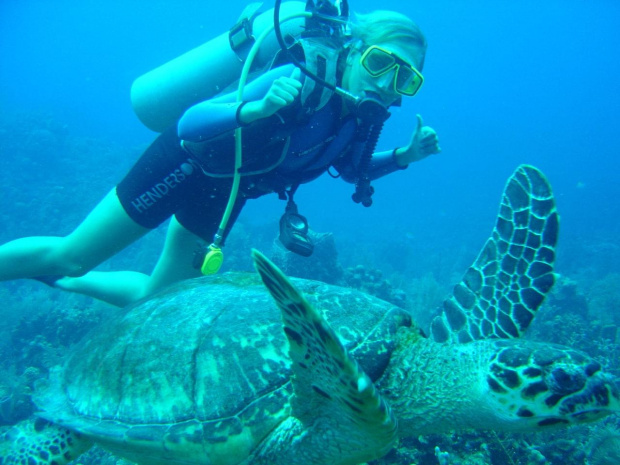 Honduras- wyspa Roatan. Niesamowite nurkowanie z przyjacielem- cierepachą:) 2005