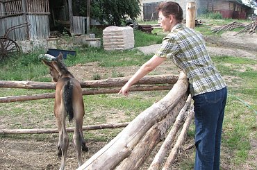 W TARZE 23.06.07 #Fundacja #Tara #Nieszkowice #Scarlet