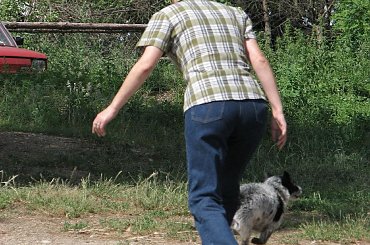 W TARZE 23.06.07 #Fundacja #Tara #Nieszkowice #Scarlet