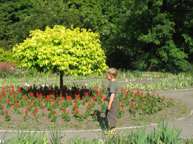 Ogród Botaniczny