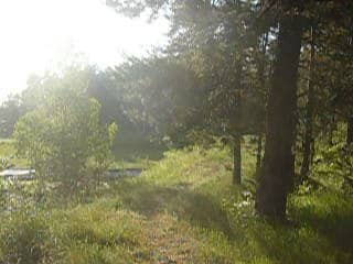 Kolejny dzień z cyklu Dzień Dziecka 06.06.2008, Czarna Białostocka