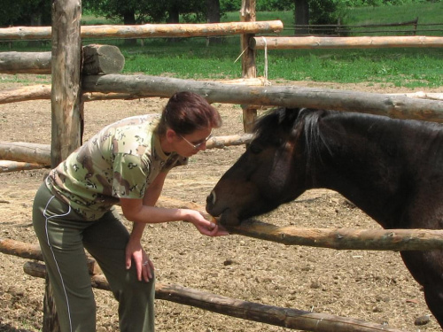 Jasiek :D #Piskorzyna #fundacjaTara #konie #jasiek