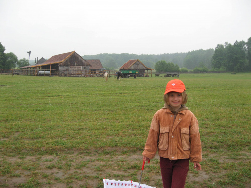 Pomigacze, majątek Haviera, 17.06.2008