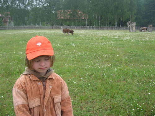 Pomigacze, majątek Haviera, 17.06.2008
