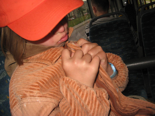 Pomigacze, majątek Haviera, 17.06.2008
