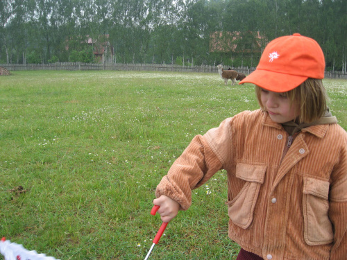 Pomigacze, majątek Haviera, 17.06.2008