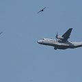 016
CASA C-295M
Siły Powietrzne RP #samoloty #lotnictwo #lotnisko #latanie