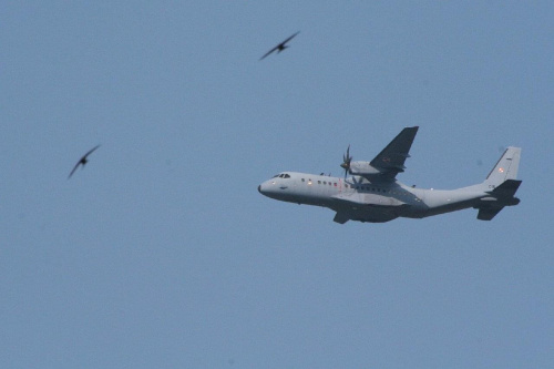 016
CASA C-295M
Siły Powietrzne RP #samoloty #lotnictwo #lotnisko #latanie