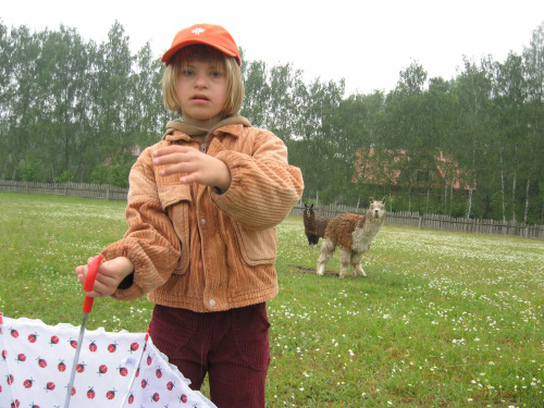 Pomigacze, majątek Haviera, 17.06.2008