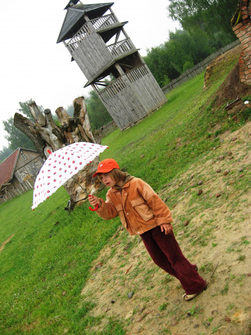 Pomigacze, majątek Haviera, 17.06.2008
