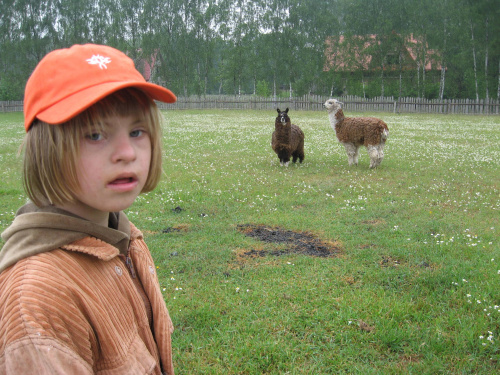 Pomigacze, majątek Haviera, 17.06.2008