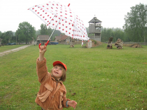 Pomigacze, majątek Haviera, 17.06.2008