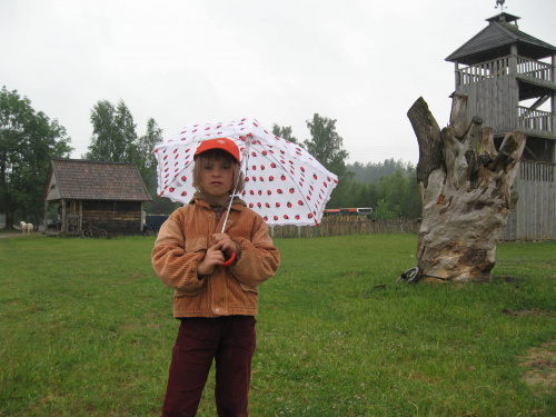 Pomigacze, majątek Haviera, 17.06.2008
