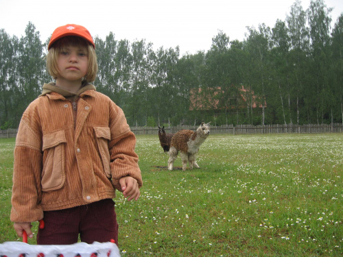 Pomigacze, majątek Haviera, 17.06.2008