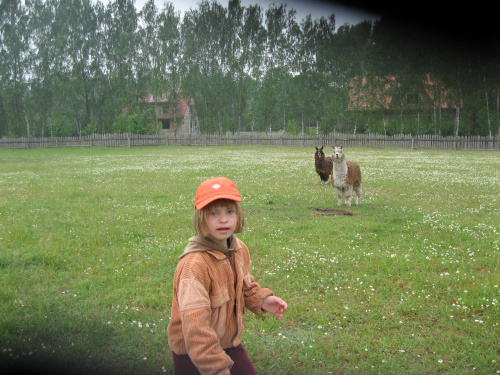 Pomigacze, majątek Haviera, 17.06.2008