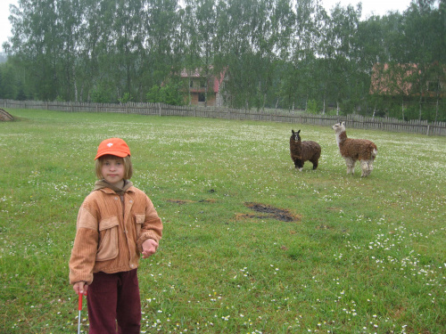 Pomigacze, majątek Haviera, 17.06.2008