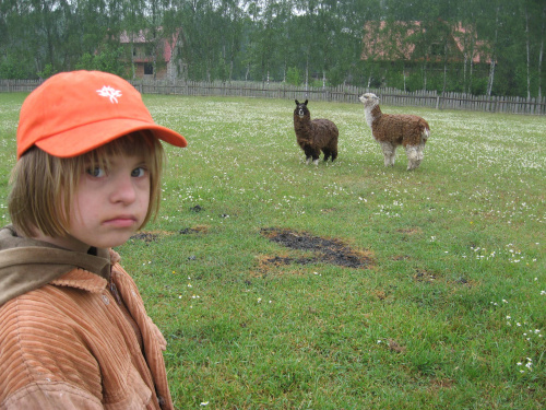 Pomigacze, majątek Haviera, 17.06.2008