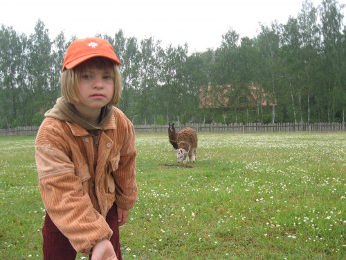 Pomigacze, majątek Haviera, 17.06.2008
