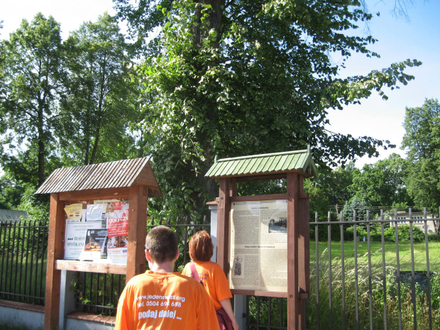 Białowieża, wakacje 2008. 21-24.06.2008