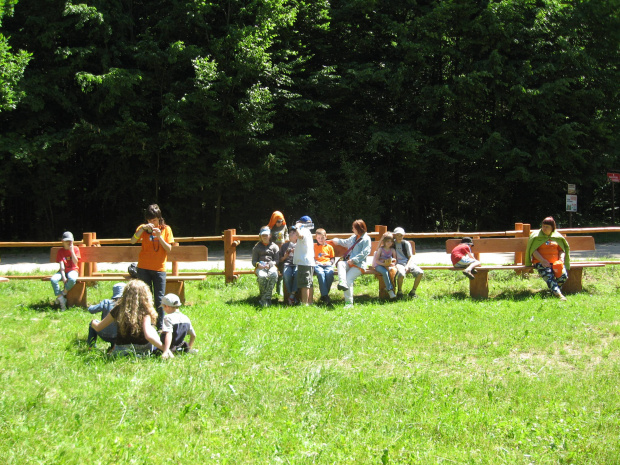 Nie, w Puszczy - Białowieskiej! 24.06.2008 r.