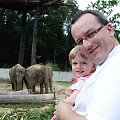 Maja w Zoo w Ostravie #maja #zoo #ostrava #słoń