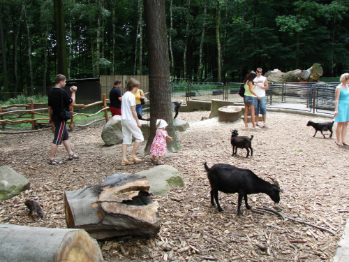 Maja w Zoo w Ostravie #maja #zoo #ostrava #kózki