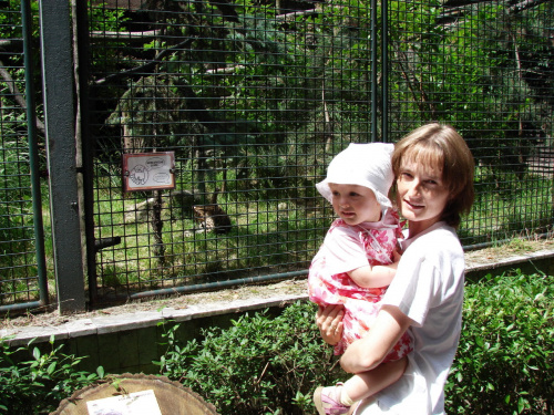 Maja w Zoo w Ostravie #maja #zoo #ostrava