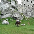 Podzamcze Ogrodzieniec