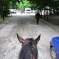 Morsko